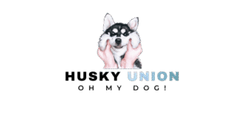 husky union logo